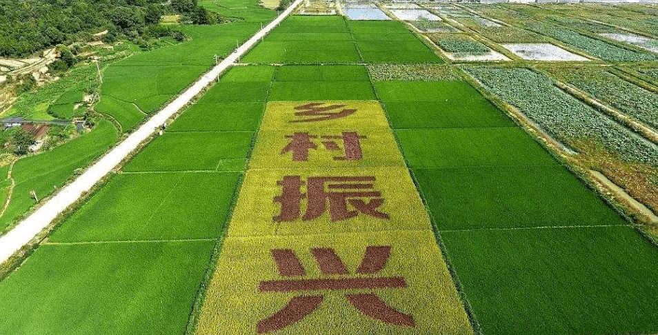 人民日報“鄉(xiāng)村振興計劃”為何看上他？_直播_行業(yè)_農(nóng)產(chǎn)品